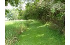 Tract 2 - Real Estate and Personal Property, Absolute Auction